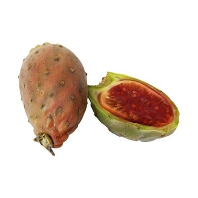 Cactus Pear Case