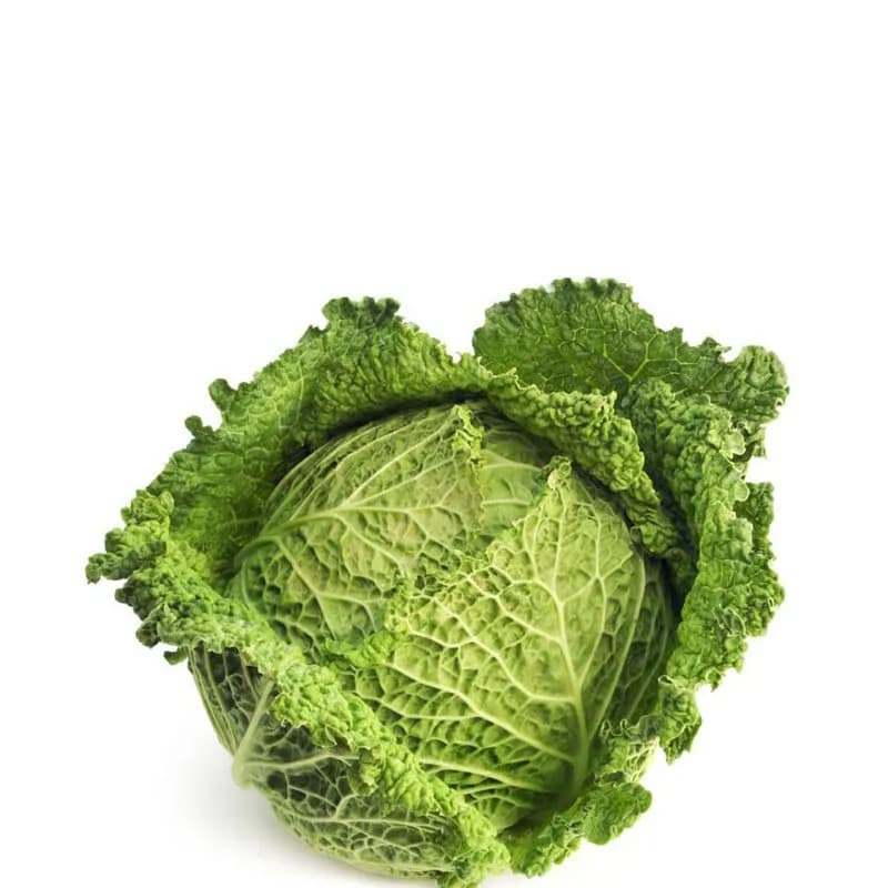 Savoy Cabbage