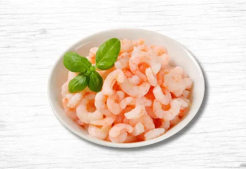 Northern Shrimp
