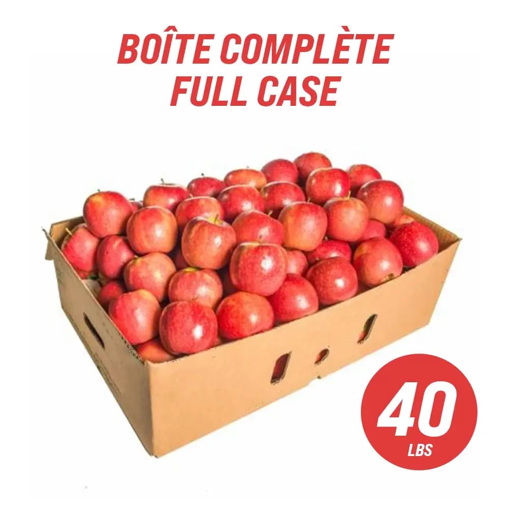 Gala Apples - USA (full case: 40 lbs)