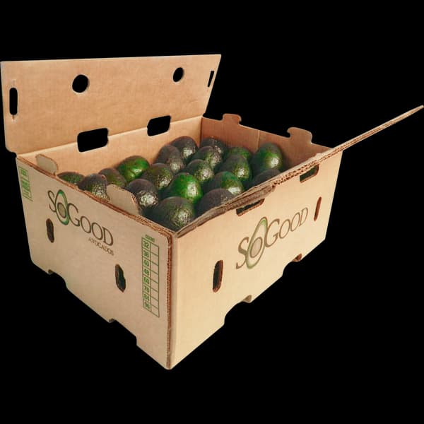 Avocados (Full Case)