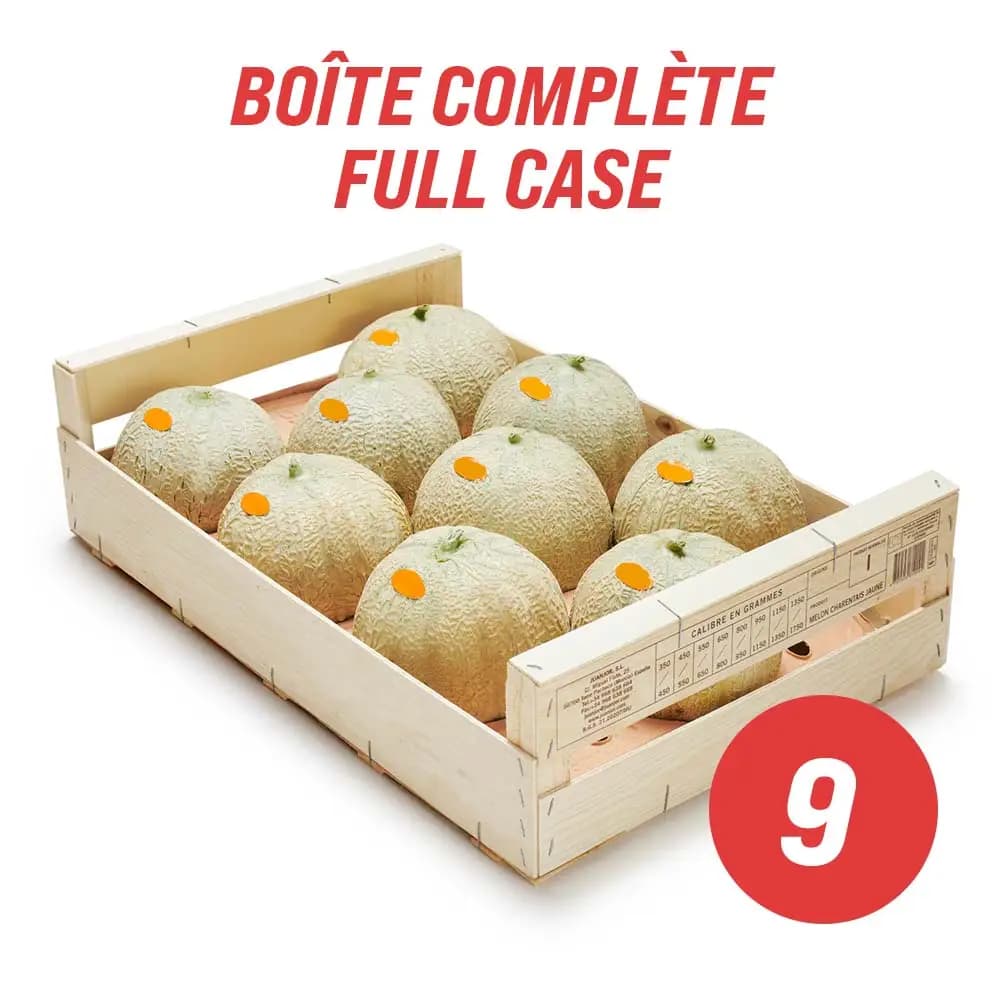 Cantaloupes (full case: 8-9)