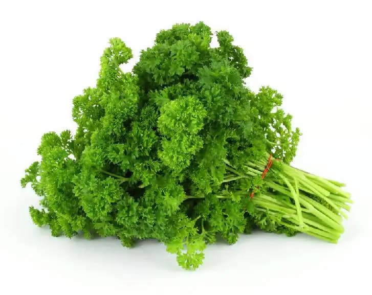 Fresh Curly Parsley
