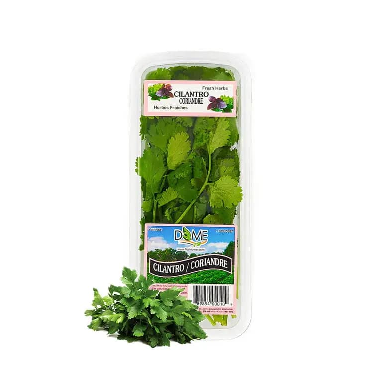 Fresh Cilantro