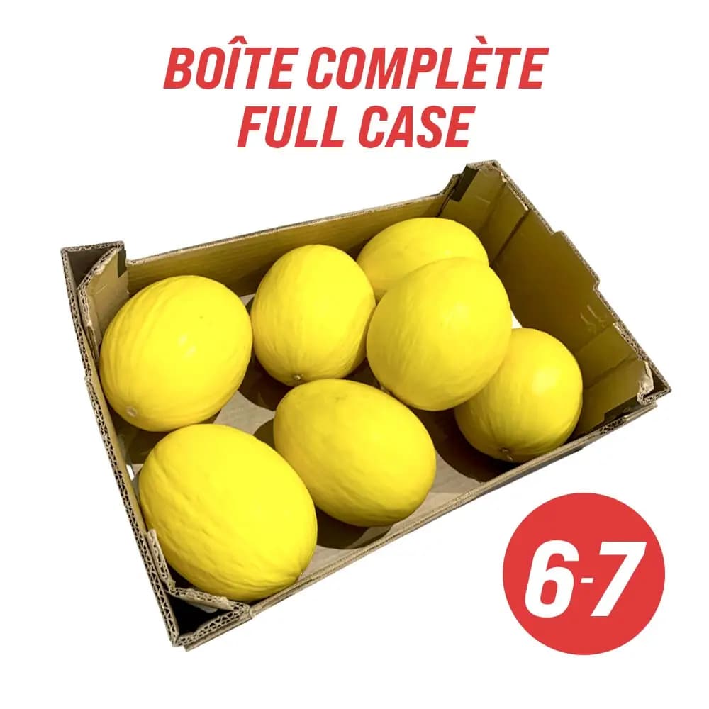 Golden Honeydew Canary Melons (full case: 5-8)