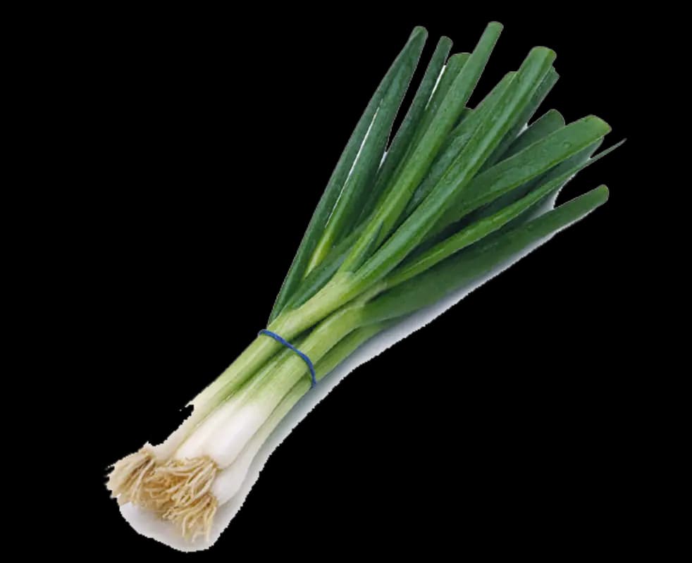Fresh Green Onions