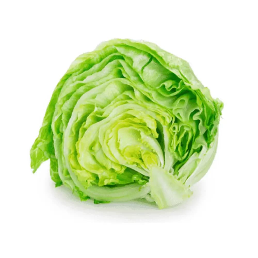Iceberg lettuce