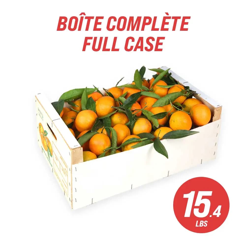 Leaf Clementines (full case: 7 kg | 15.4 lbs)