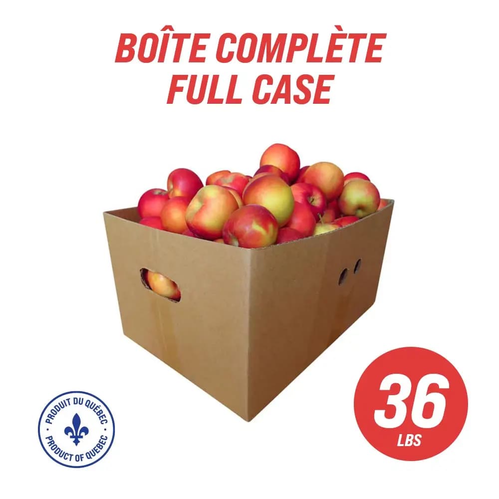 Assorted Québec Apples (full case: 36 lbs)