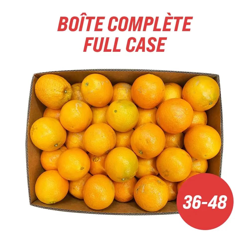 Large Oranges (Full Case)