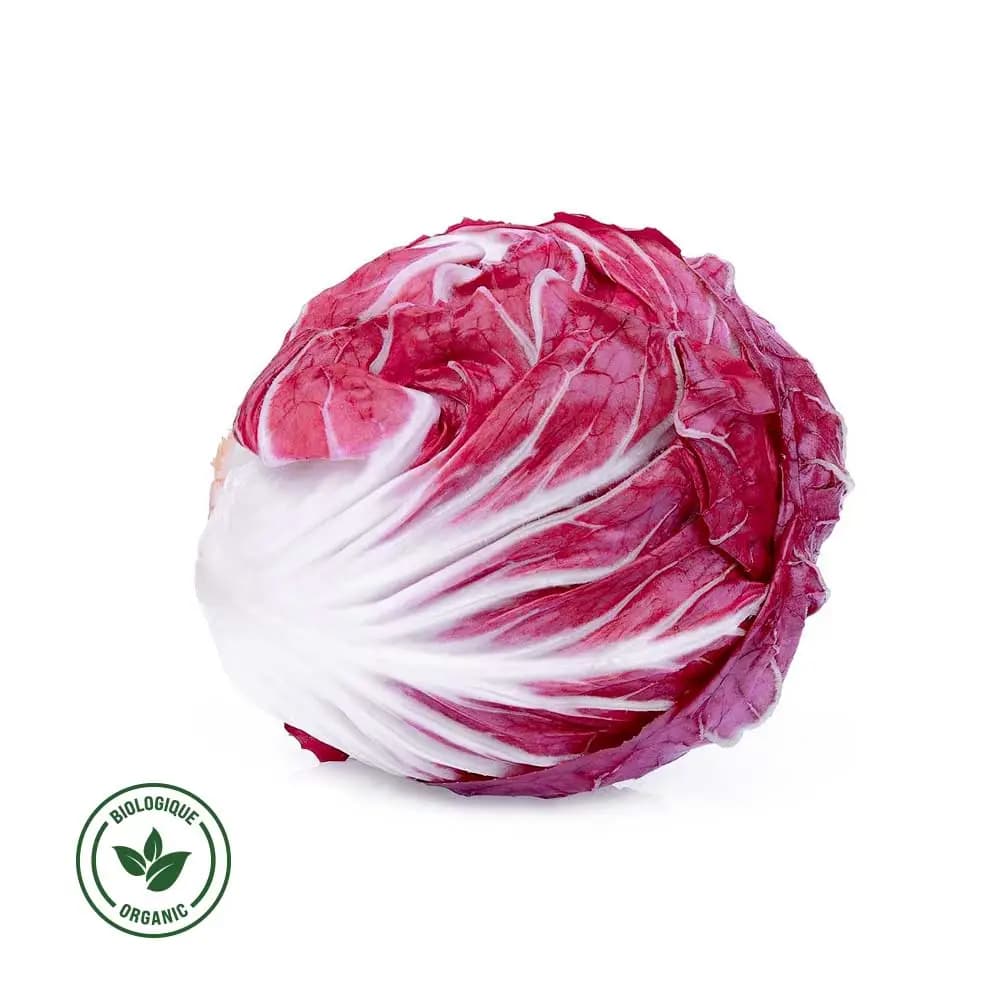 Radicchio