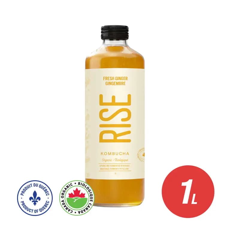 Fresh Ginger Kombucha