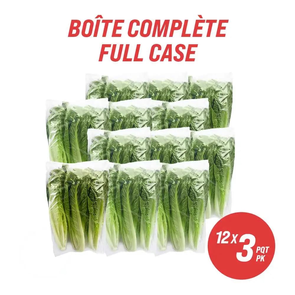 Romaine Hearts (full case)