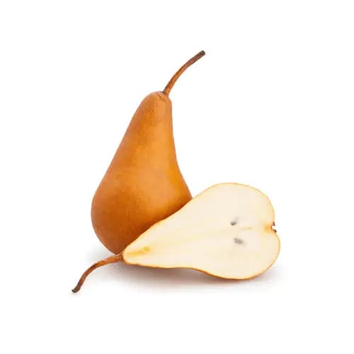 Bosc Pears