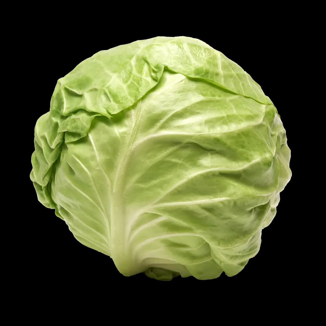 Green Cabbage