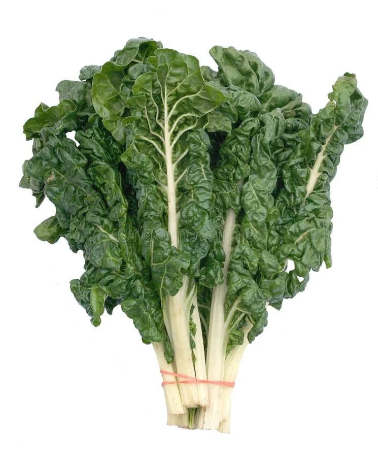Green Swiss Chard