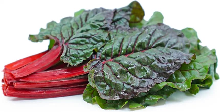 Red Swiss Chard