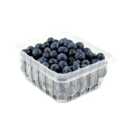 Blueberries (454g)