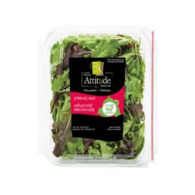 Spring Mix - Fresh Attitude Salads (142 g)