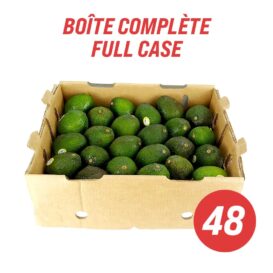 Large Avocados (full case