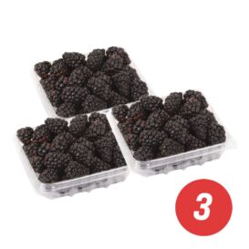 Blackberries (3 x 170 g)