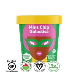 Mint Chip Galactica - Frozen Dessert - Coconut Bliss (473 ml)