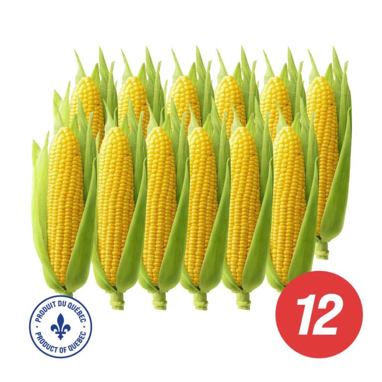 Fresh Corn on the Cob - Quebec (12)