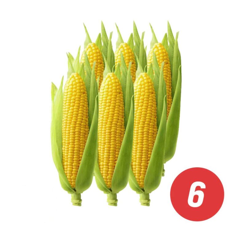 Fresh Corn on the Cob (6)