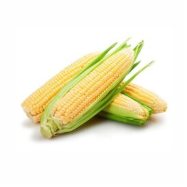 Fresh Corn on the Cob (each)