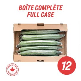 English Cucumbers (full case