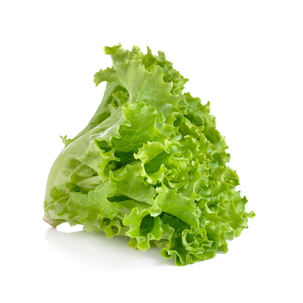 Green Leaf Lettuce (per head) • Choose the Fresh One