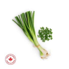 Green Onions - Locally Grown (per bunch)