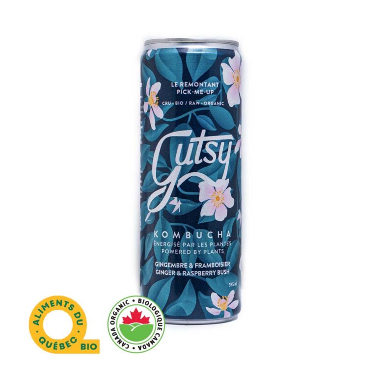 Pick Me Up - Ginger & Raspberry Bush - Gutsy Organic Kombucha (355 ml)