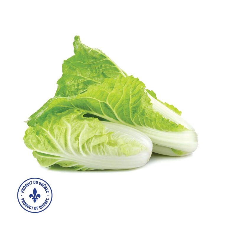 Nappa Cabbage - Locally Grown (per head)