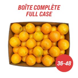 large oranges full case 36-48