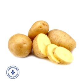 Yellow Fleshed Potatoes - Quebec (5lb bag)