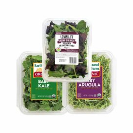 ** SHORT DATE ** Assorted Salads - Lovin' Life / Earthbound Organic (142 g)
