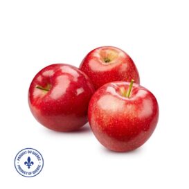 Large Spartan Apples - Quebec (per lb)