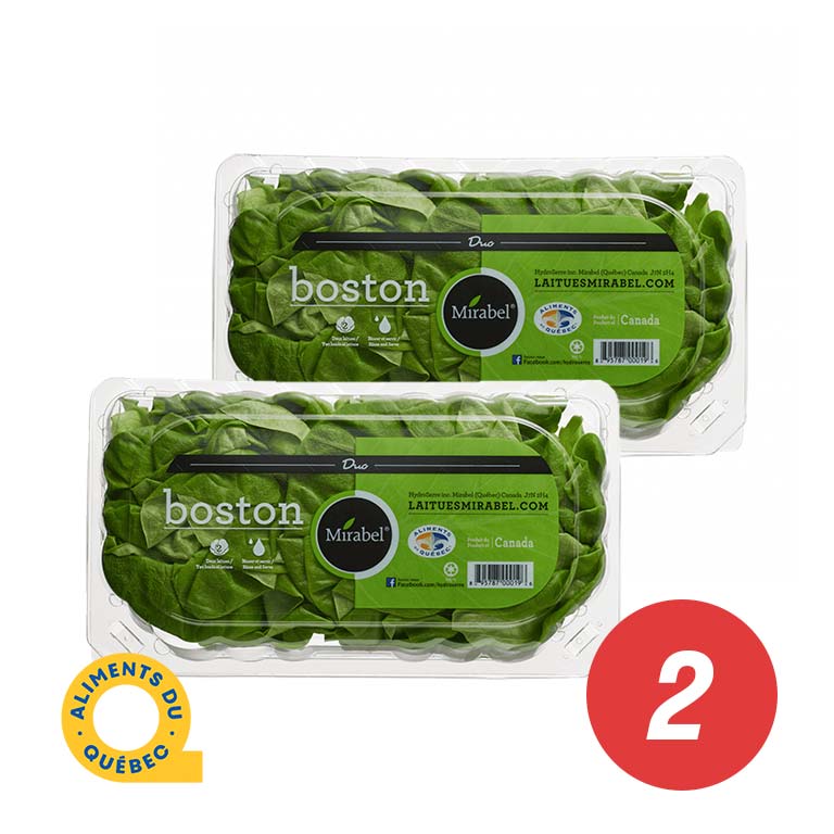 Hydroponic Boston Lettuce Duo - Laitues Mirabel (multi deal)