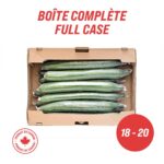 English Cucumbers (full case: 18-20)